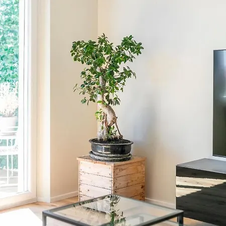 La Dolce - Sunny Penthouse Trastevere Station 100sqm Roma